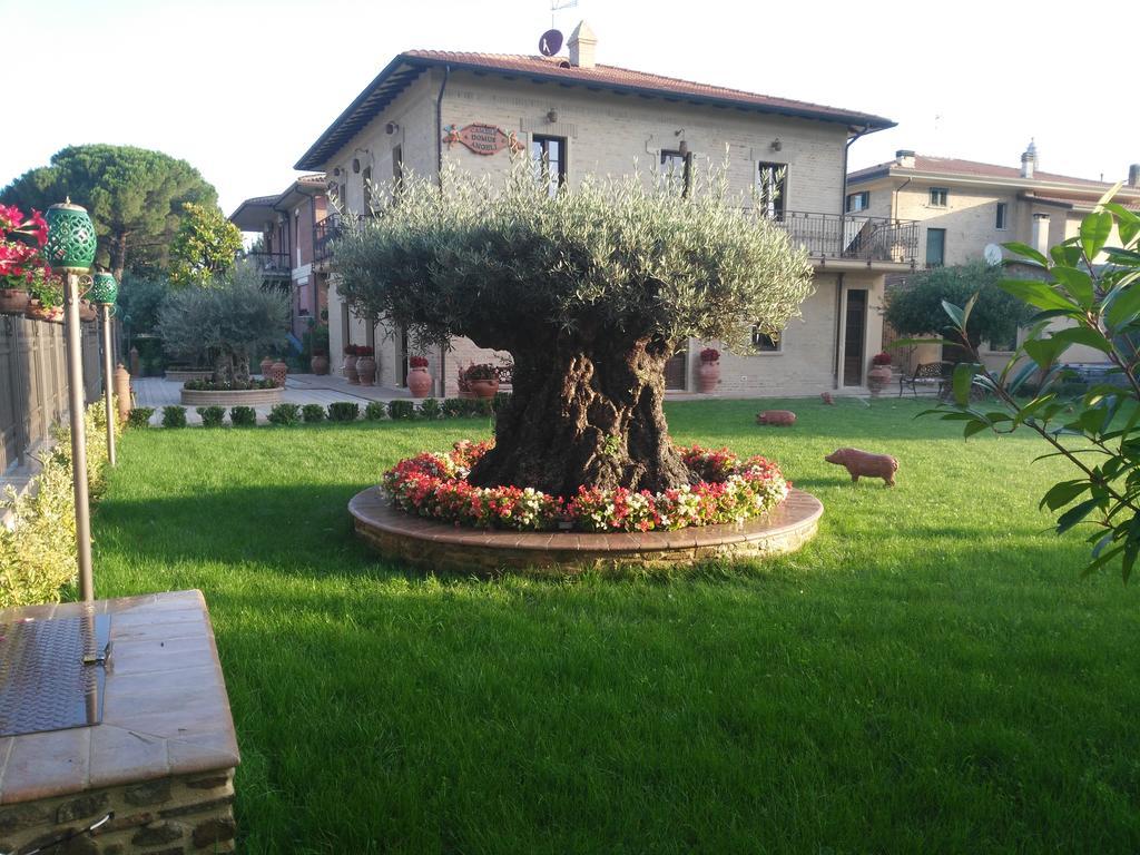 Domus Angeli Hotel Assisi Exterior photo