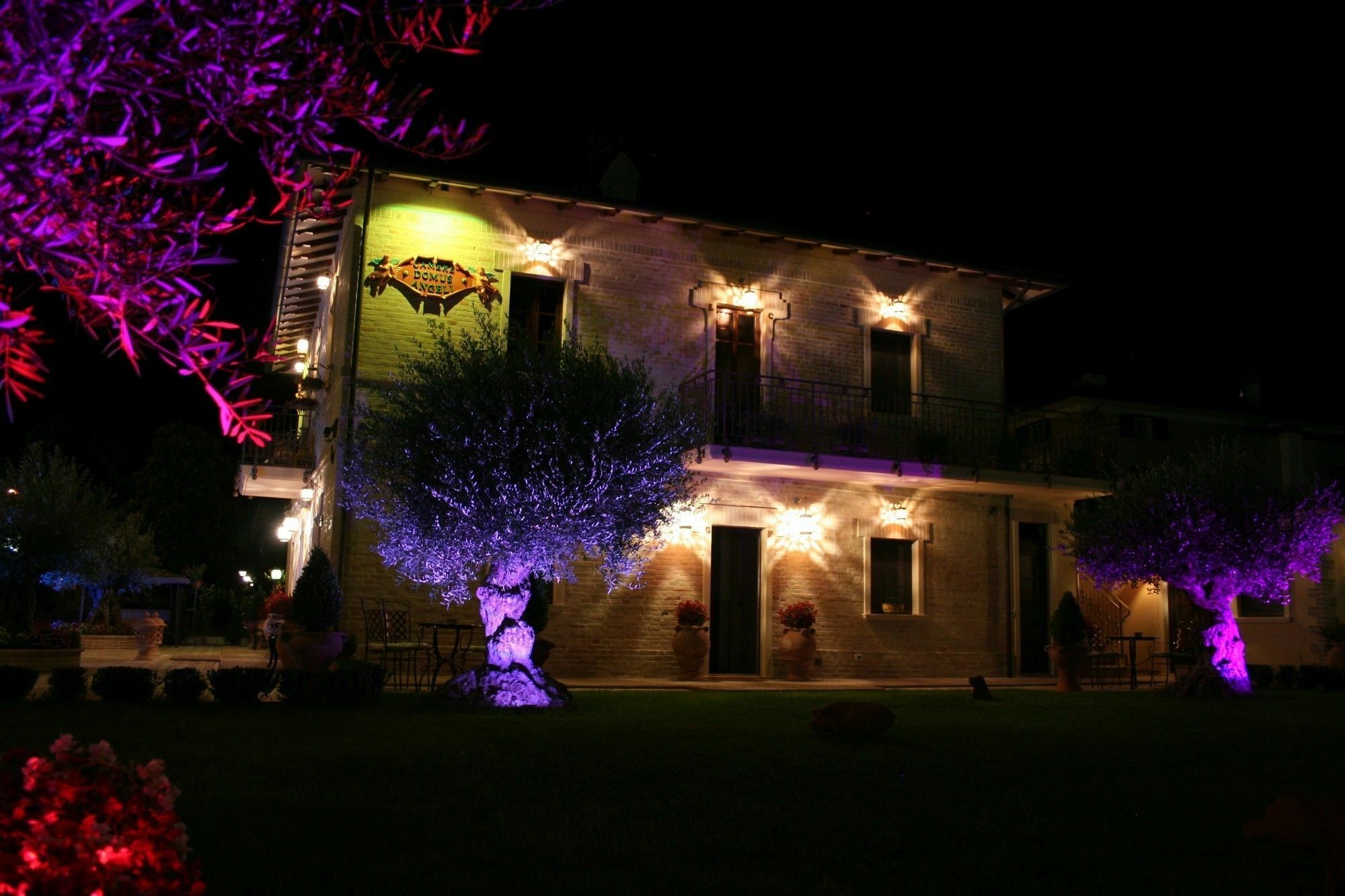 Domus Angeli Hotel Assisi Exterior photo